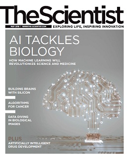 The Scientist May 2019